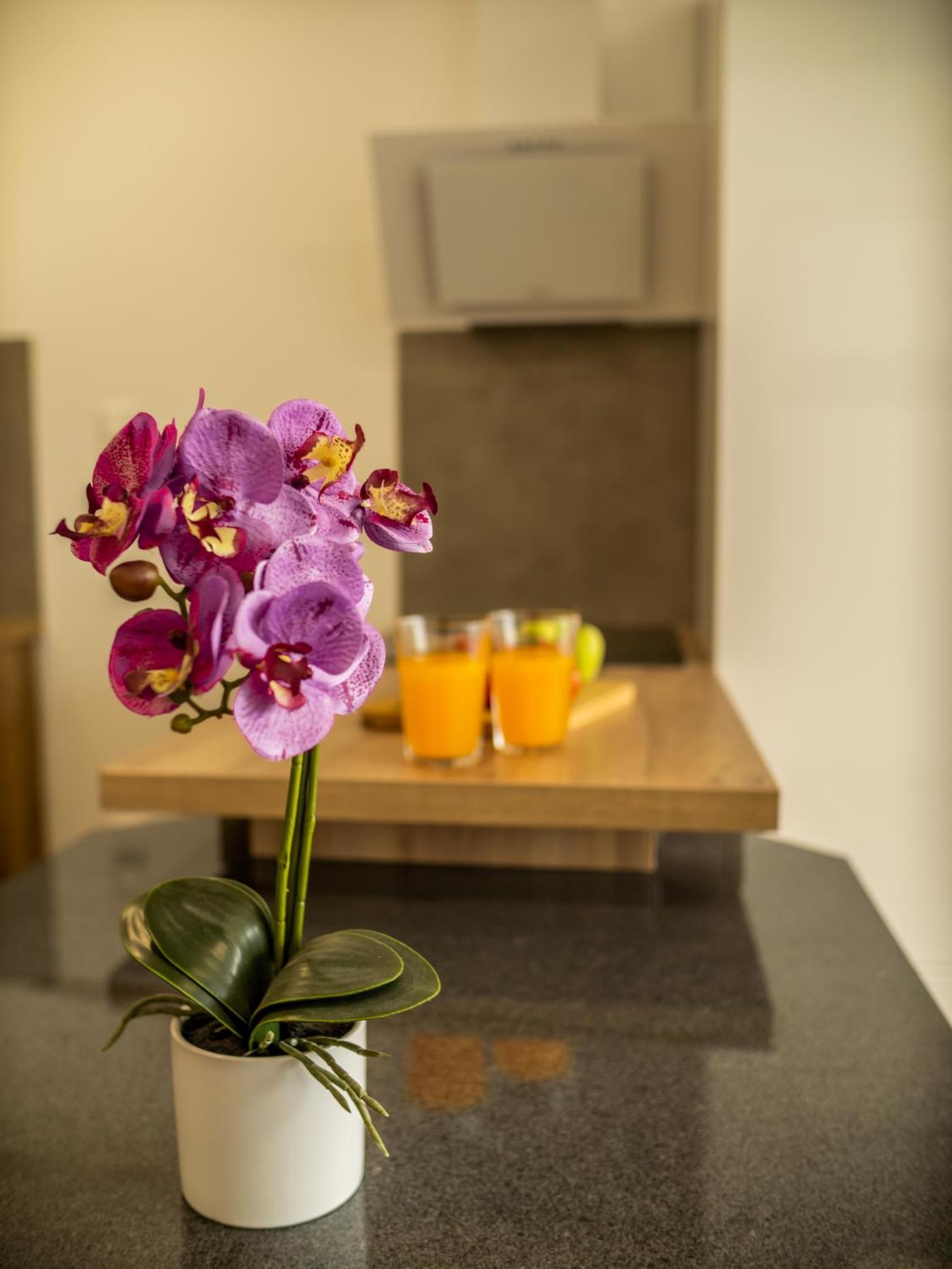Panorama Superior Apartments - Pool, Garden, Parking บาลาโตนัลมาดี ภายนอก รูปภาพ